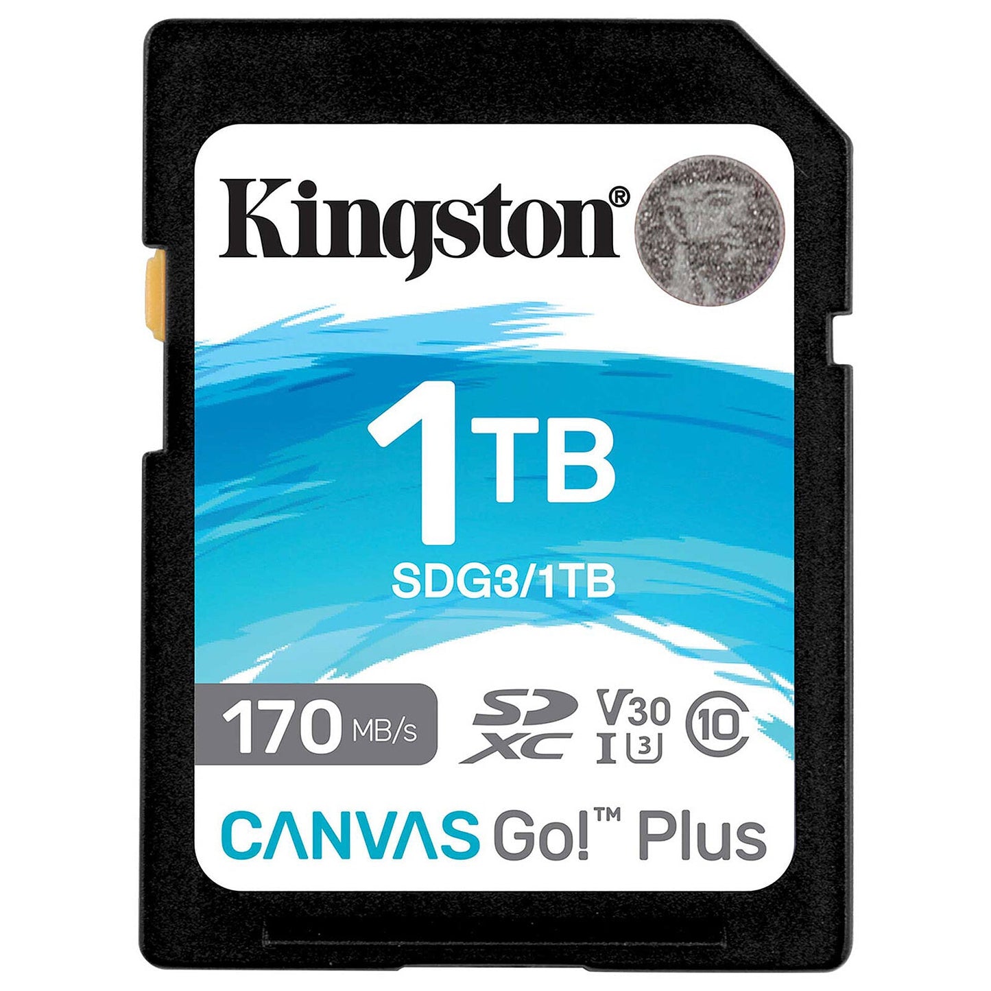 Kingston SDXC Canvas Go Plus Flash Memory Card 64GB 128GB 256GB 512GB 1TB